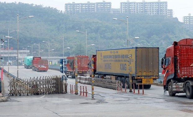 老街省设立新冠疫情安全“绿区” 为进出口活动提供便利 ảnh 1