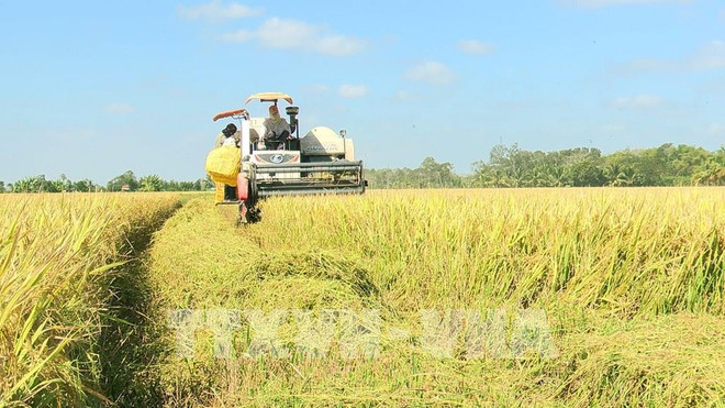 ☀️越通社早安咖啡（2022.1.17） ảnh 2