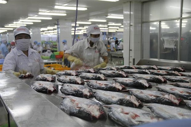 外国银行看好越南2022年经济增长前景 ảnh 1