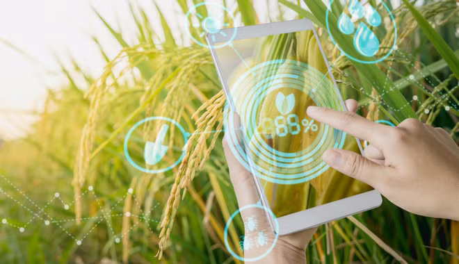 农业经济： 农业仍系经济体的“支撑” ảnh 2