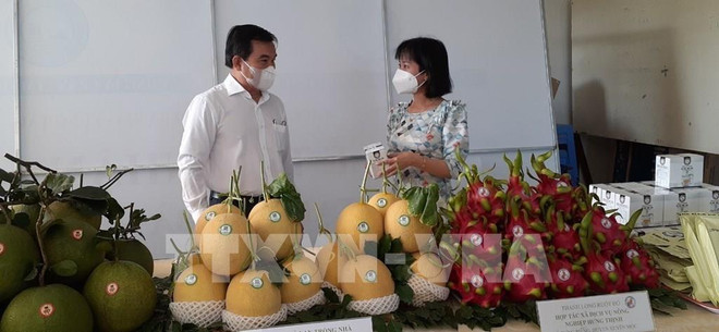 巴地头顿省加强高科技农业的招商引资力度 ảnh 1 巴地头顿省加强高科技农业的招商引资力度 ảnh 1