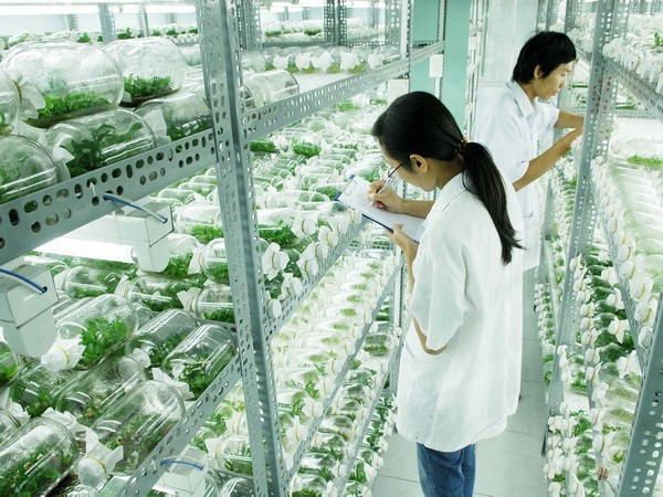 以色列驻越南大使阿斯卡尔:越南政府在新冠肺炎疫情防控努力中取得巨大成功 ảnh 1 以色列驻越南大使阿斯卡尔:越南政府在新冠肺炎疫情防控努力中取得巨大成功 ảnh 1