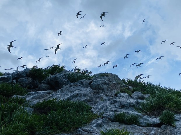 巴地头顿省生态旅游的新风 ảnh 1