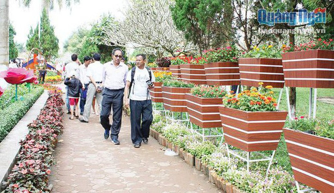 广义省春节期间接待游客量近5.5万人次 ảnh 1 广义省春节期间接待游客量近5.5万人次 ảnh 1