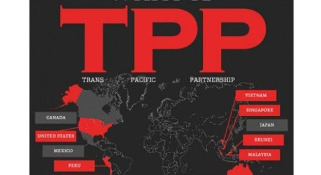 在融入世界背景下提高非政府组织对越援助效果 ảnh 1 在融入世界背景下提高非政府组织对越援助效果 ảnh 1