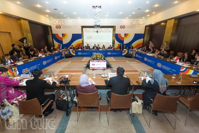 第一届俄罗斯—东盟文化部部长级会议拉开序幕 ảnh 1 第一届俄罗斯—东盟文化部部长级会议拉开序幕 ảnh 1