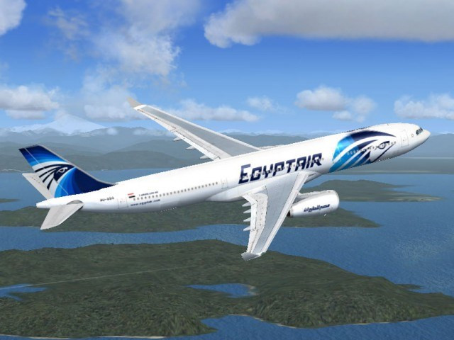 越南国家领导人就埃及航空客机坠毁事件向有关国家领导人致慰问电 ảnh 1