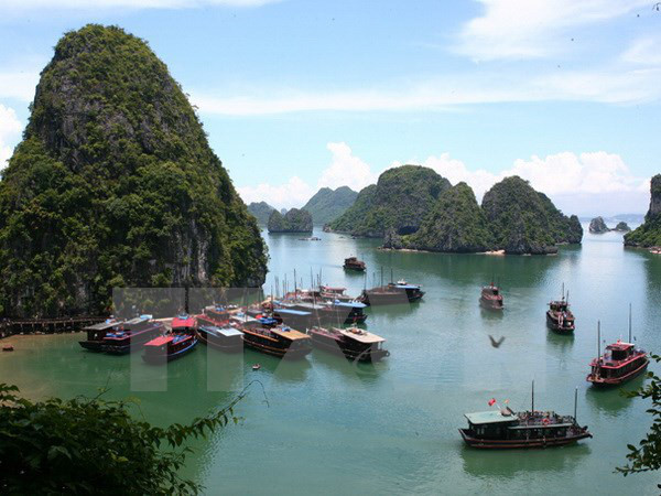 越南旅游市场活跃发展 ảnh 1 越南旅游市场活跃发展 ảnh 1