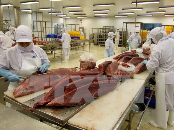 越南对美出口总额达114.5亿美元 ảnh 1