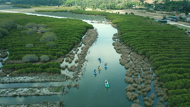 碳市场发展是打造碳中和经济体的资源生成机制 ảnh 2 碳市场发展是打造碳中和经济体的资源生成机制 ảnh 2