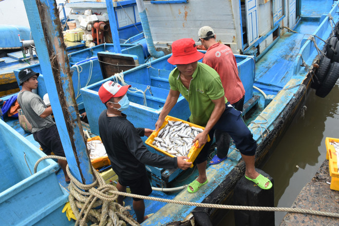 解除IUU黄牌:各地方发挥宣传工作的作用 ảnh 2 解除IUU黄牌:各地方发挥宣传工作的作用 ảnh 2