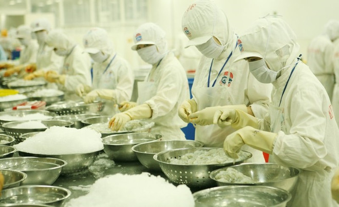 越南农产品出口北欧市场的潜力 ảnh 1 越南农产品出口北欧市场的潜力 ảnh 1