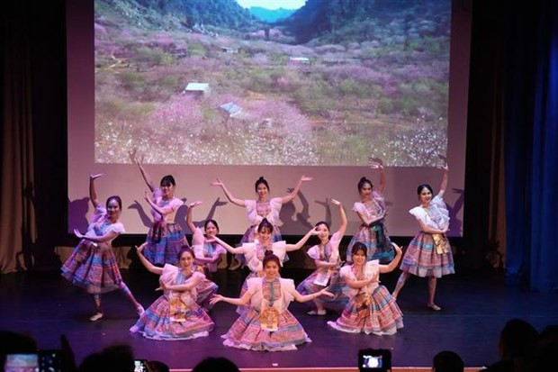 越南大学生在莫斯科推广越南文化 ảnh 1 越南大学生在莫斯科推广越南文化 ảnh 1
