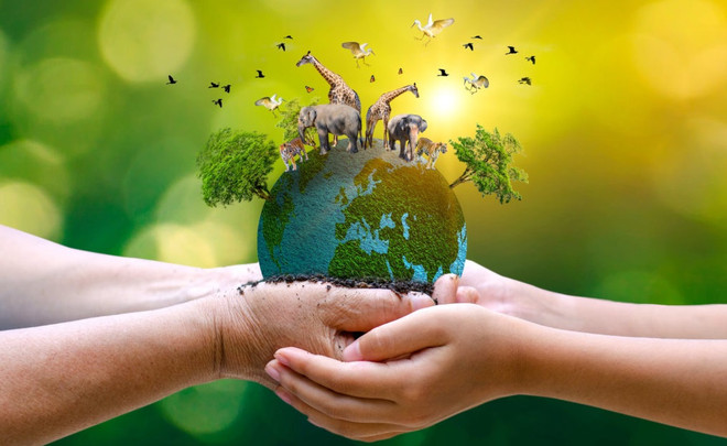 三三世界野生动植物日:有效保护野生物种 ảnh 1 三三世界野生动植物日:有效保护野生物种 ảnh 1