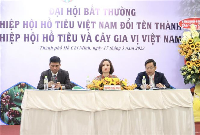 越南胡椒协会更名为越南胡椒与香料树协会 ảnh 1 越南胡椒协会更名为越南胡椒与香料树协会 ảnh 1
