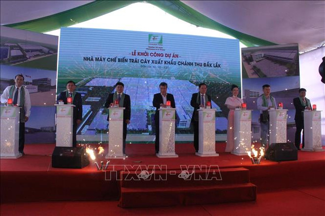 得乐省规模最大的出口水果加工厂正式投建 ảnh 1 得乐省规模最大的出口水果加工厂正式投建 ảnh 1