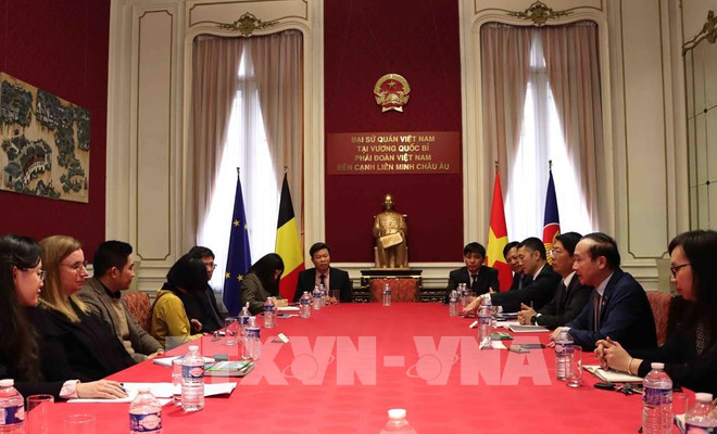 越南宁平省希望在比利时推广旅游 ảnh 1