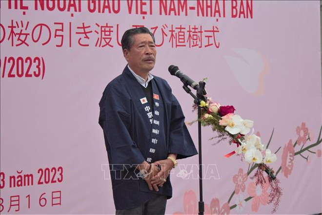 越日建交50周年:河内市接受由日本赠送的110棵樱花树 ảnh 3 越日建交50周年:河内市接受由日本赠送的110棵樱花树 ảnh 3