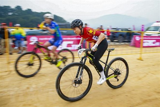 第 32 届东南亚运动会：9 个国家报名参加自行车比赛 ảnh 1