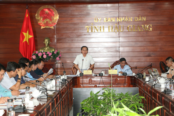 后江省国际马拉松赛将于今年8月底举行 ảnh 1