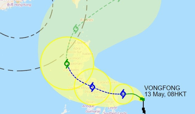 台风“黄蜂”登陆菲律宾 ảnh 1
