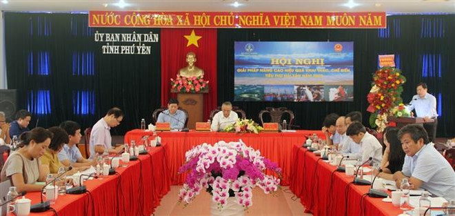 为渔民靠海谋生创造便利条件 ảnh 1