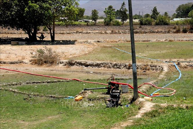 加大信息技术应用力度 有效应对自然灾害 ảnh 1