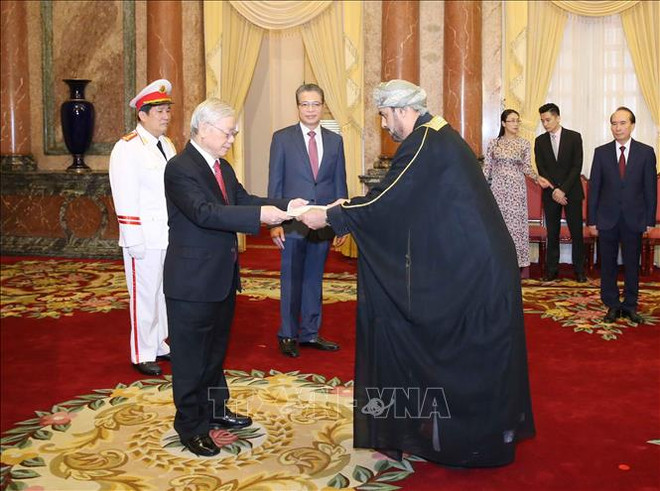 阮富仲接受外国新任驻越大使递交国书 ảnh 1 阮富仲接受外国新任驻越大使递交国书 ảnh 1