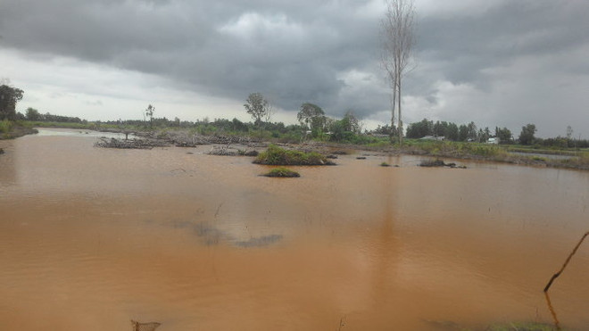 主动应对气候变化 ảnh 1 主动应对气候变化 ảnh 1