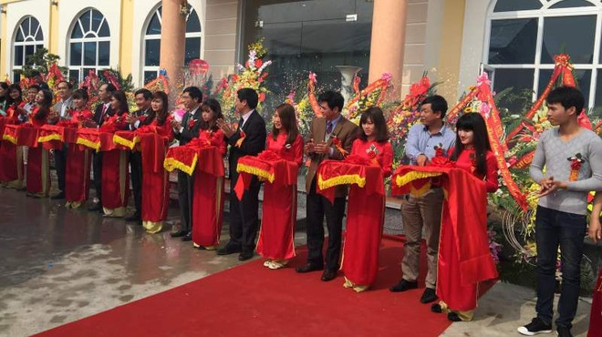 海阳省首家大型蔬果初级加工厂正式投产 ảnh 1 海阳省首家大型蔬果初级加工厂正式投产 ảnh 1