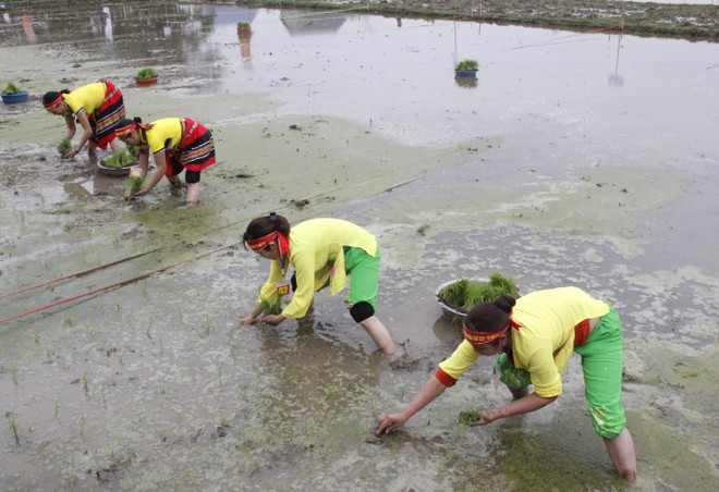 太原省：2018年戊戌春节下田节热闹非凡 ảnh 2