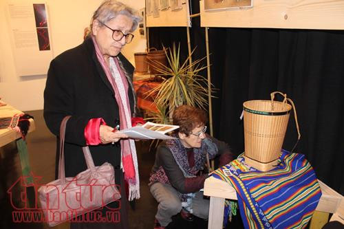 越南54个民族服装惊艳亮相法国西部 ảnh 2