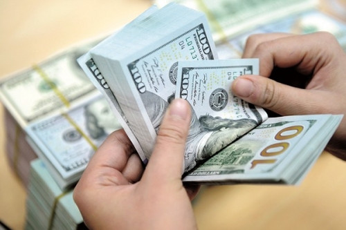 13日越盾兑美元中心汇率上涨8越盾 ảnh 1 13日越盾兑美元中心汇率上涨8越盾 ảnh 1