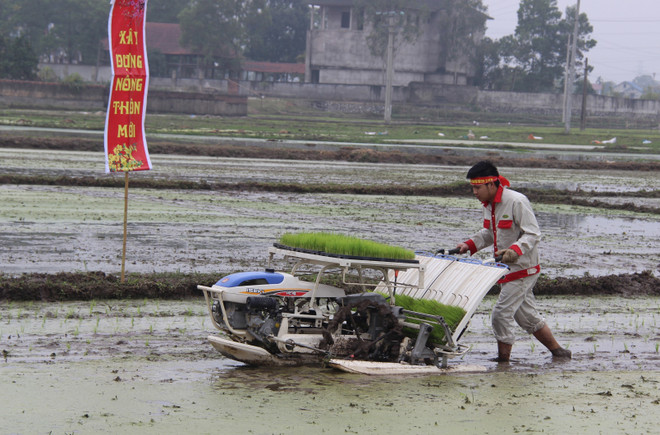 太原省：2018年戊戌春节下田节热闹非凡 ảnh 1