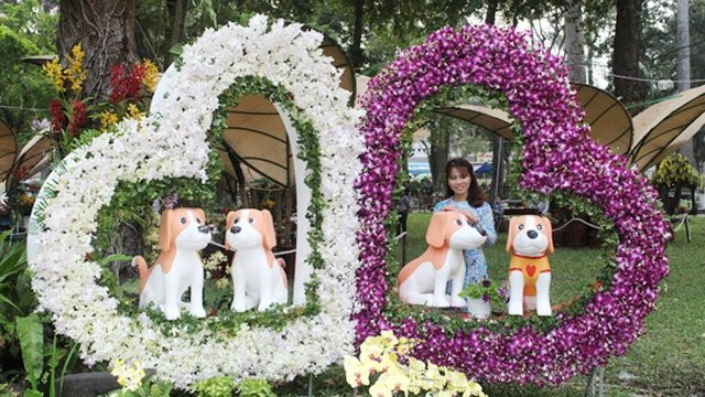 胡志明市2018戊戌年迎春花卉节开幕 ảnh 1 胡志明市2018戊戌年迎春花卉节开幕 ảnh 1