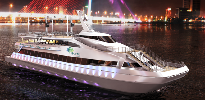 岘港市发挥邮轮旅游优势 促进海洋旅游业发展 ảnh 1