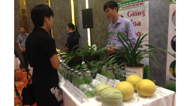 河内市分享有关高科技农业推广应用的经验 ảnh 1 河内市分享有关高科技农业推广应用的经验 ảnh 1