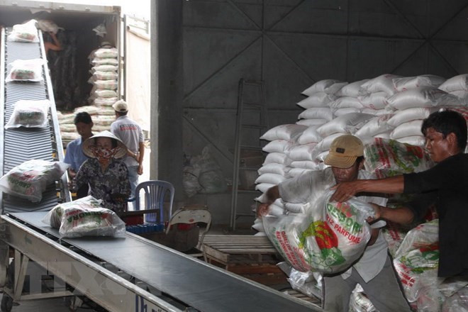 2018年1月份安江省的出口总额同比增长24.5% ảnh 1 2018年1月份安江省的出口总额同比增长24.5% ảnh 1