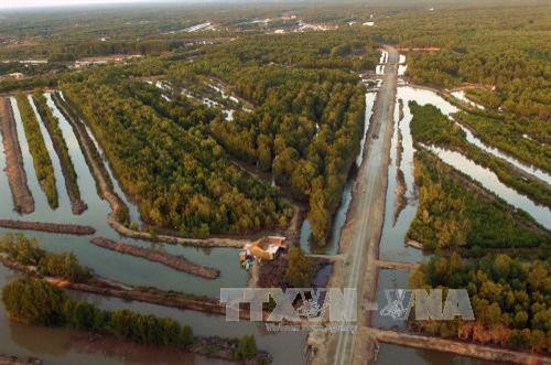 金瓯角国家公园至2025年总体规划及2030年展望出炉 ảnh 1