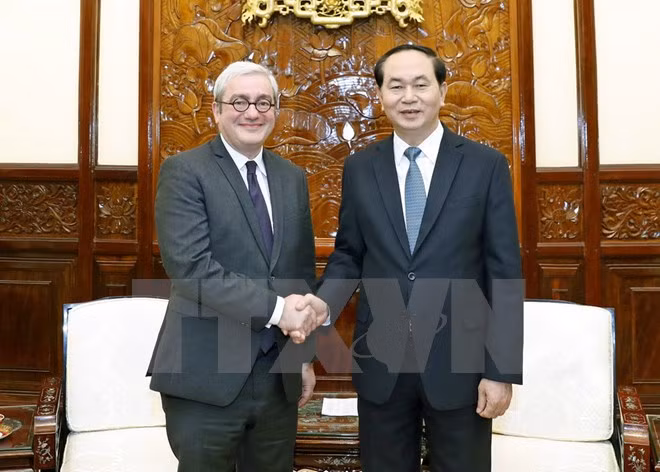 越南国家主席陈大光会见法国新闻社首席执行官胡格 ảnh 1