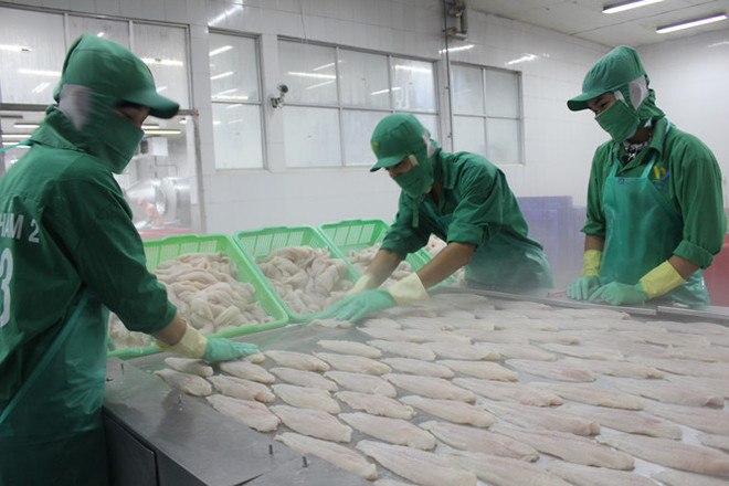 美国继续对越南查鱼征收反倾销税 ảnh 1