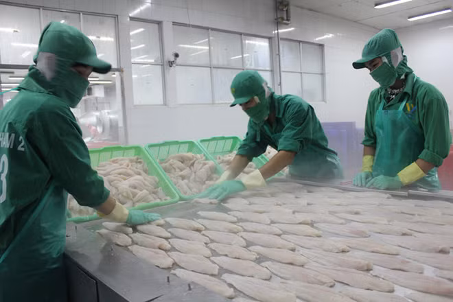 美国继续对越南查鱼征收反倾销税 ảnh 1