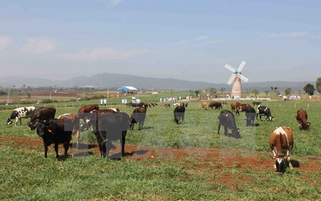 胡志明市愿扩大与白俄罗斯的合作关系 ảnh 1 胡志明市愿扩大与白俄罗斯的合作关系 ảnh 1