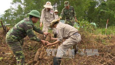 美国“越南和平树组织”代表团访问越南 ảnh 1