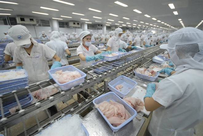 越南水产品出口位居世界第三 ảnh 1 越南水产品出口位居世界第三 ảnh 1