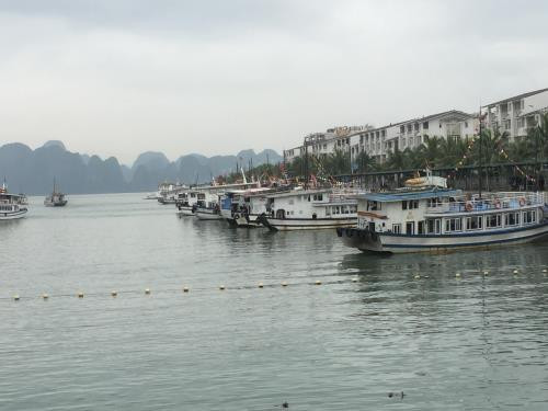 公交船 ——下龙湾的新颖旅游服务 ảnh 1