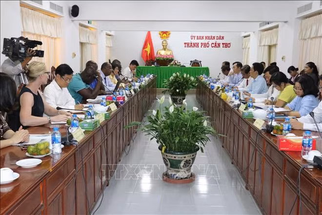 科特迪瓦共和国与芹苴市加强农业合作 ảnh 1 科特迪瓦共和国与芹苴市加强农业合作 ảnh 1