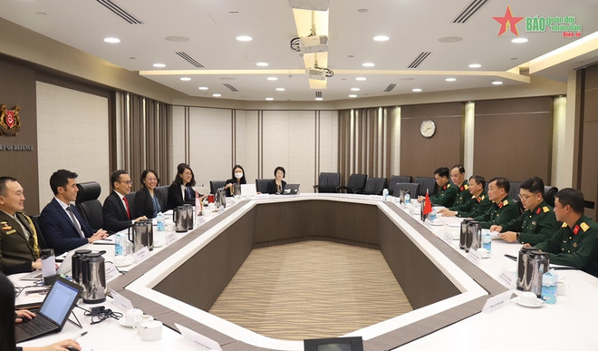 越南与新加坡强化防务合作 致力于共同利益 ảnh 1