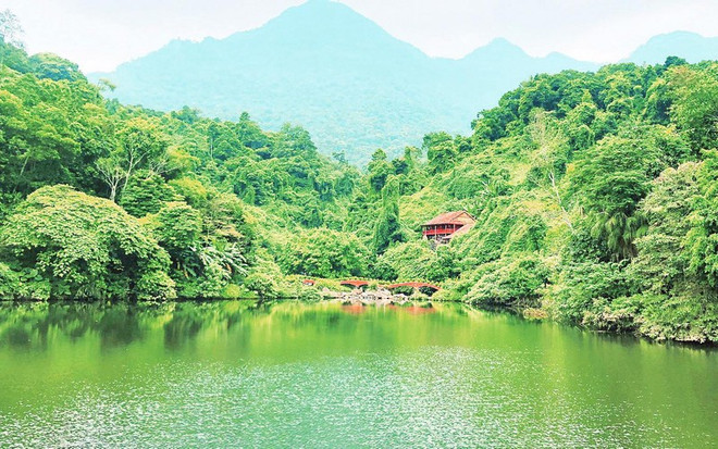 河内市加快旅游业复苏进程 ảnh 1