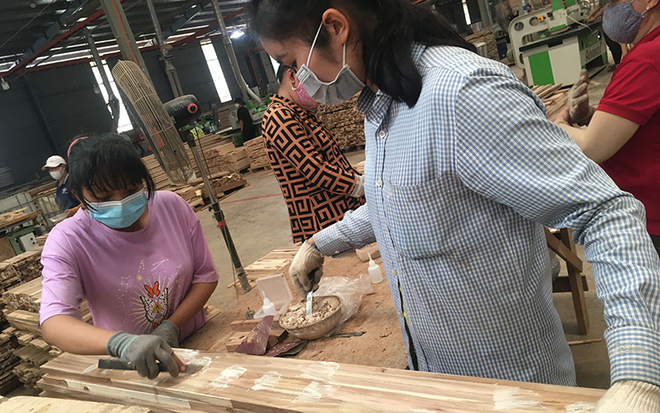 推动实施木材行业分类系统 ảnh 1 推动实施木材行业分类系统 ảnh 1